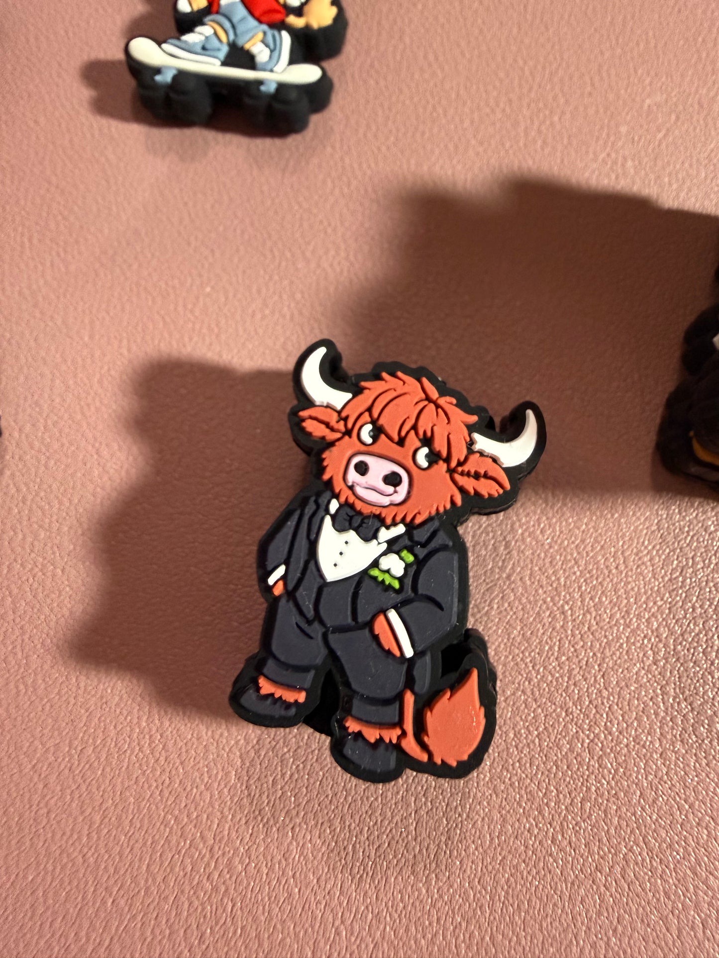 Groom Cow Focal