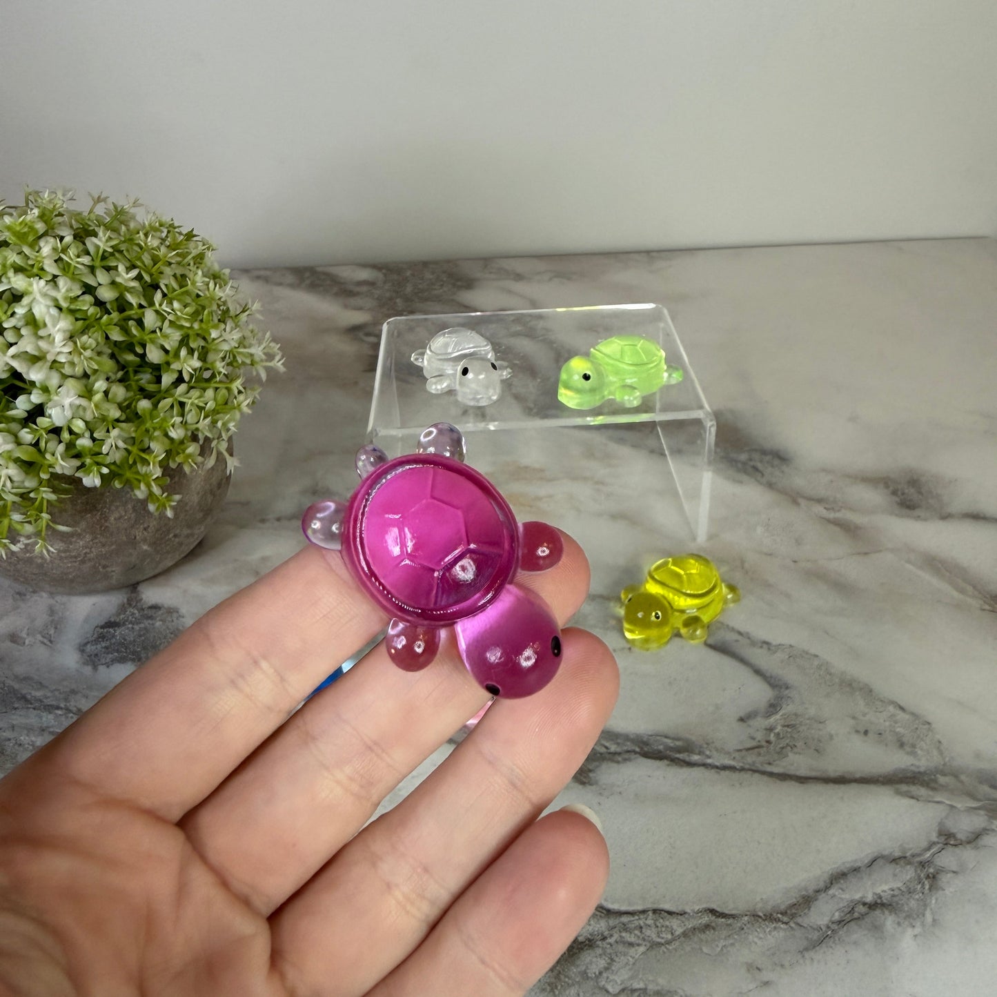 Squishy Toy - Clear Turtle